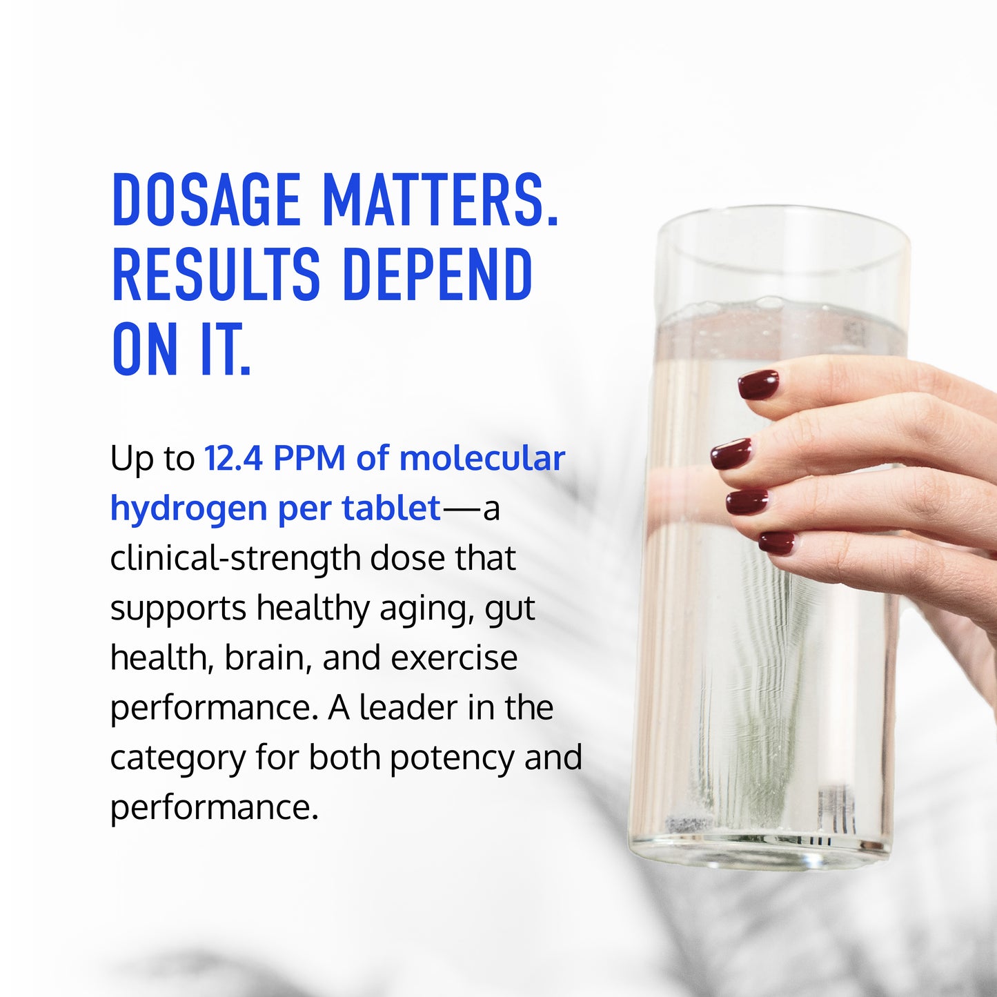 HARMONY+ | Hydrogen Water Tablets + Postbiotics