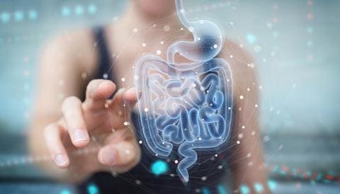 gut-microbiome-tests-useful-or-hype-by-drinkhrw