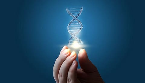 Epigenetic clocks and the insights they provide into aging