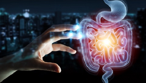 Hydrogen-Rich-Water And Gut Microbiome